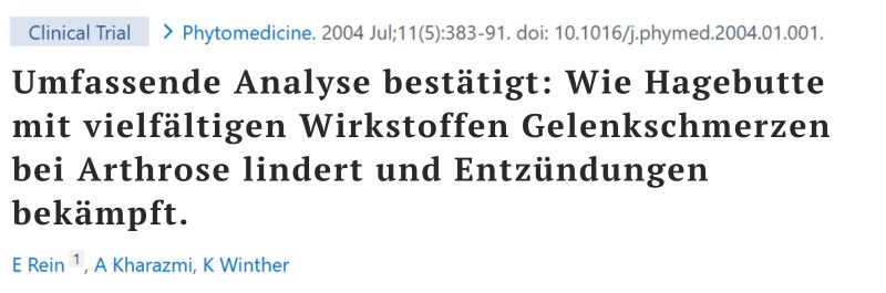 Studie zur schmerzlindernden Wirkung von Hagebutte