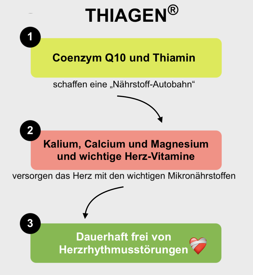 Mechanismus-1